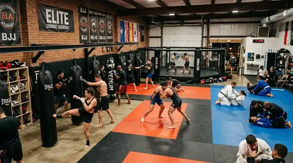 Estilos de pelea en MMA y su impacto en apuestas
